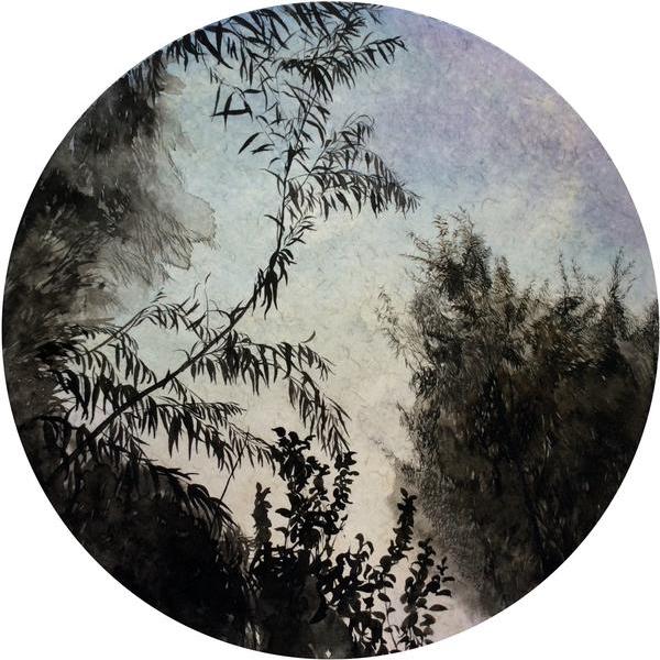 遇见胡杨林 - 张玲的作品 | artand - 与艺术家面对面的在线画廊