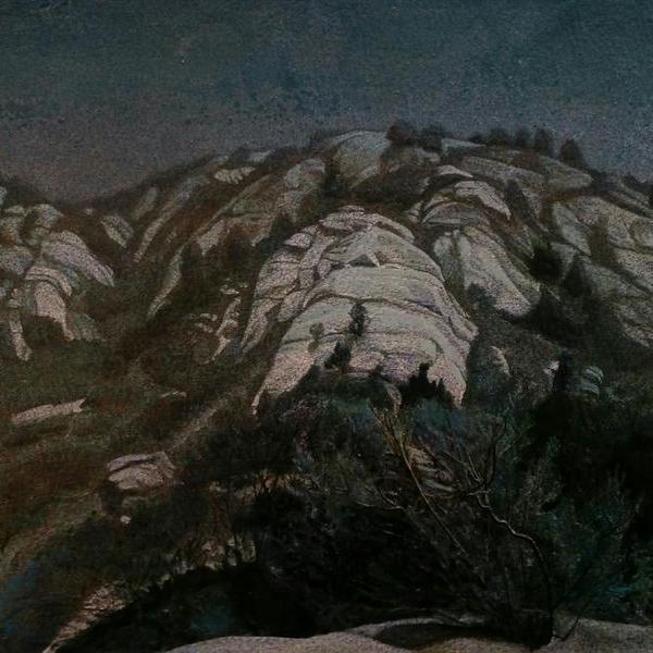 遇见胡杨林 - 张玲的作品 | artand - 与艺术家面对面的在线画廊