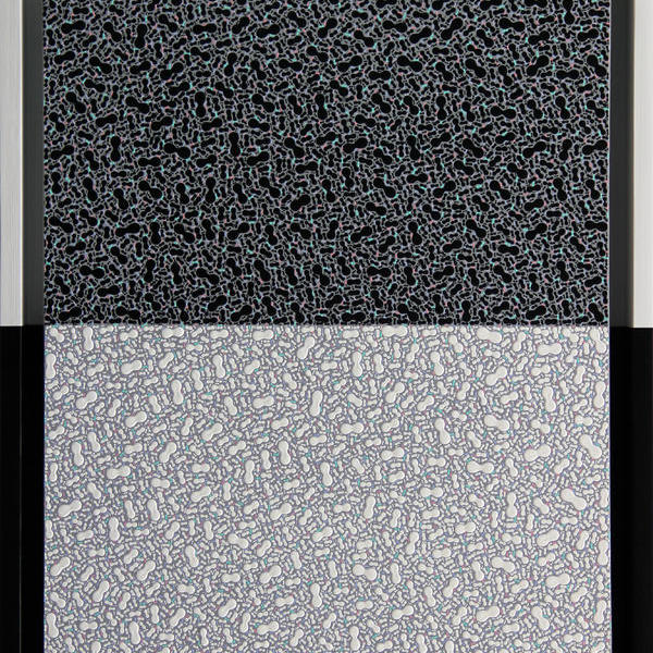 有序与无序no.82