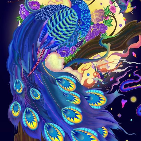 李聪-孔雀(peacock)