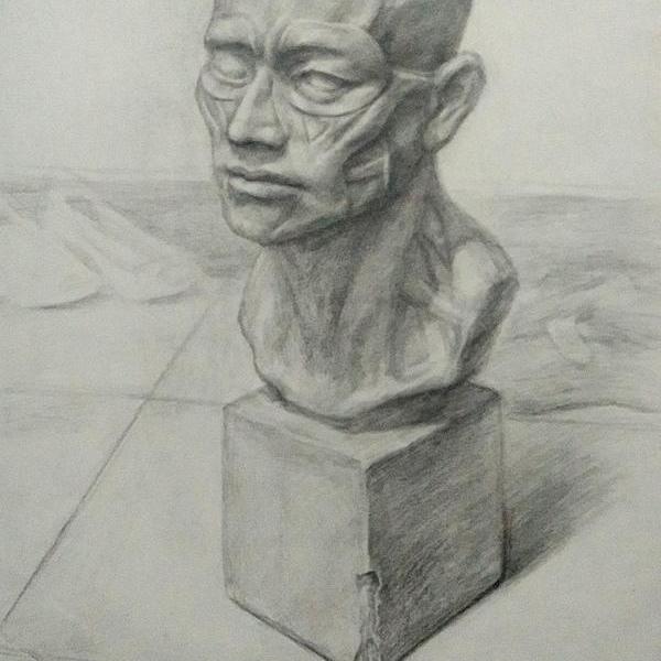 石膏肌肉头像写生(习作)-歐陽麗娜l.o.