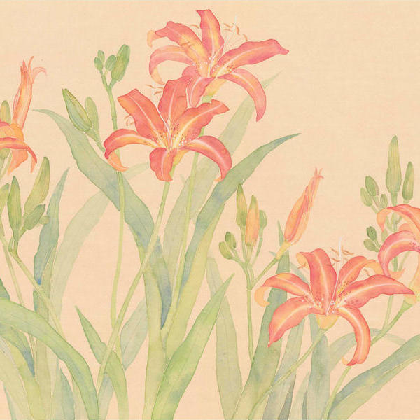 张薇-萱草 之一