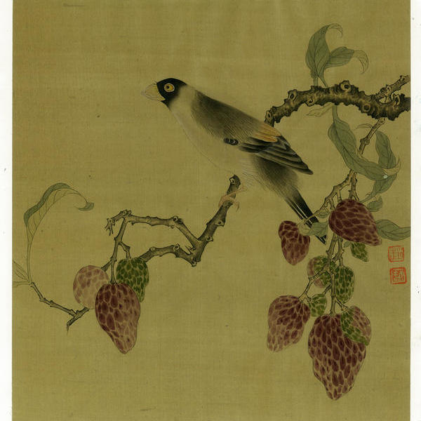 赵越-临 宋蜡嘴荔枝图