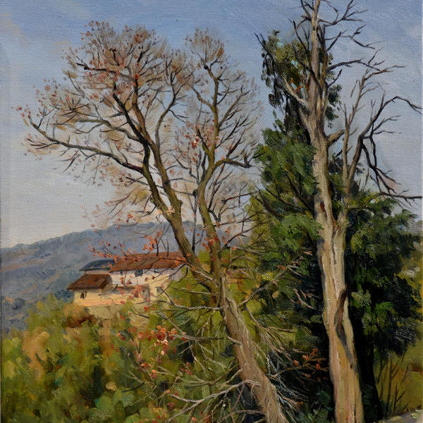 蔡景东-《平阳村口的老树》