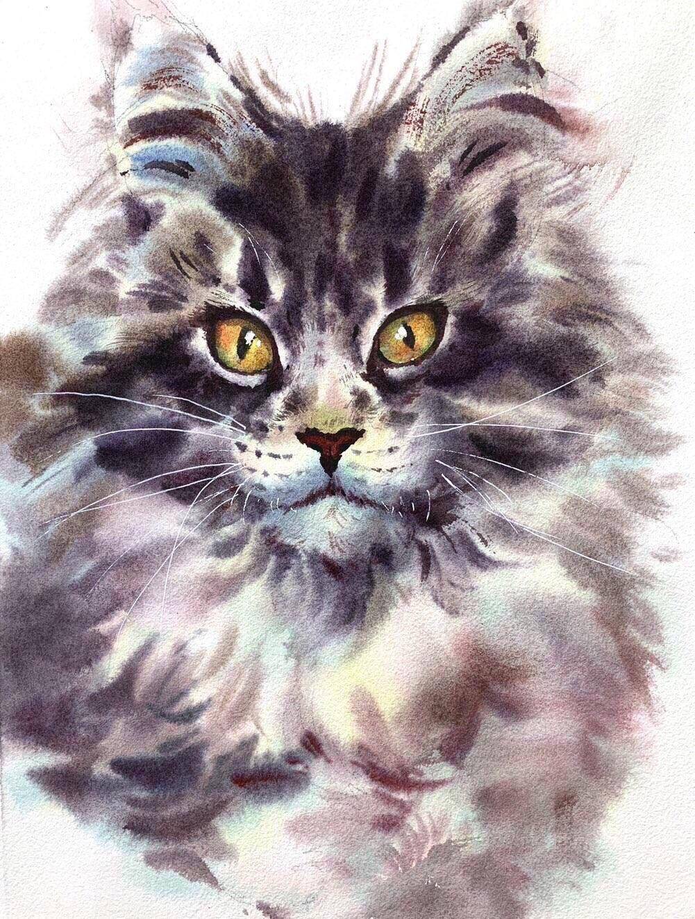 缅因猫 - 李田 作品图1