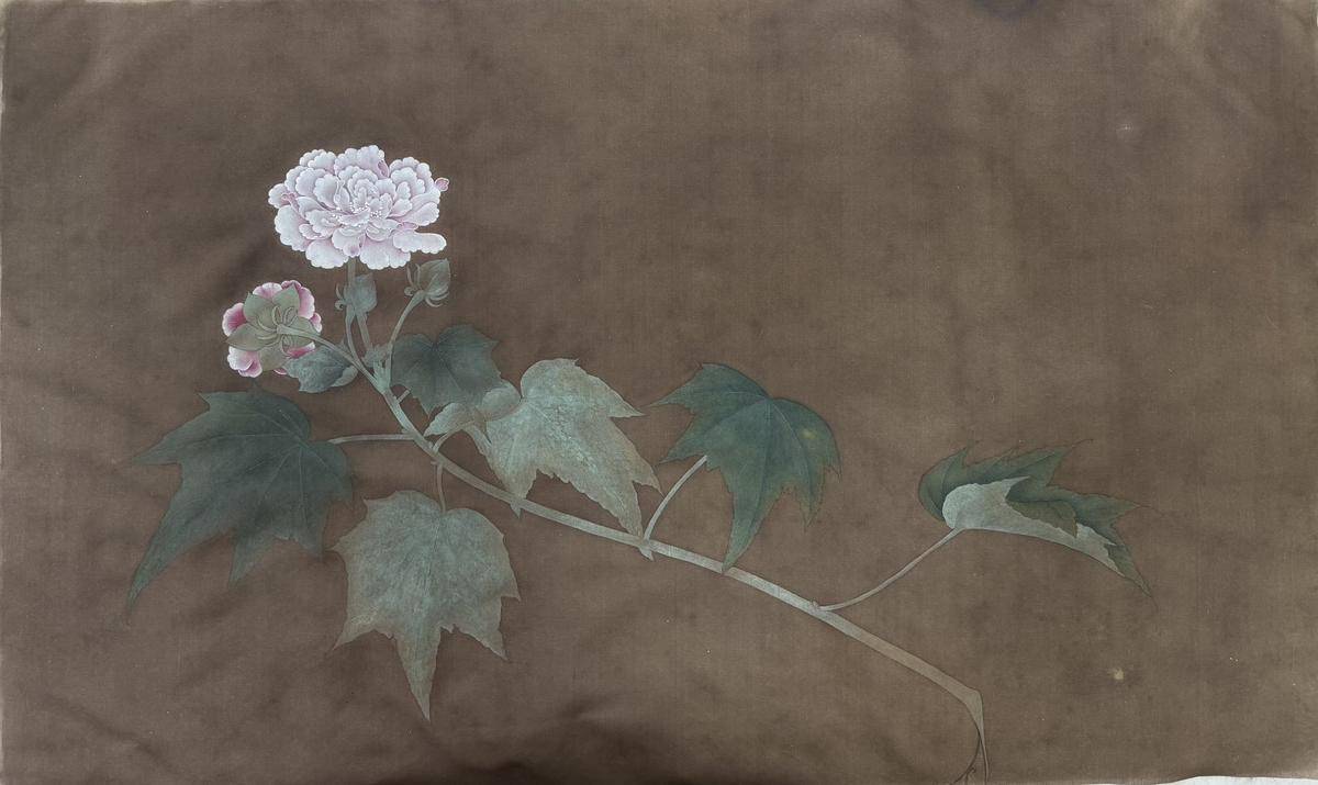 折枝芙蓉（据霜） - 黄玉 作品图1