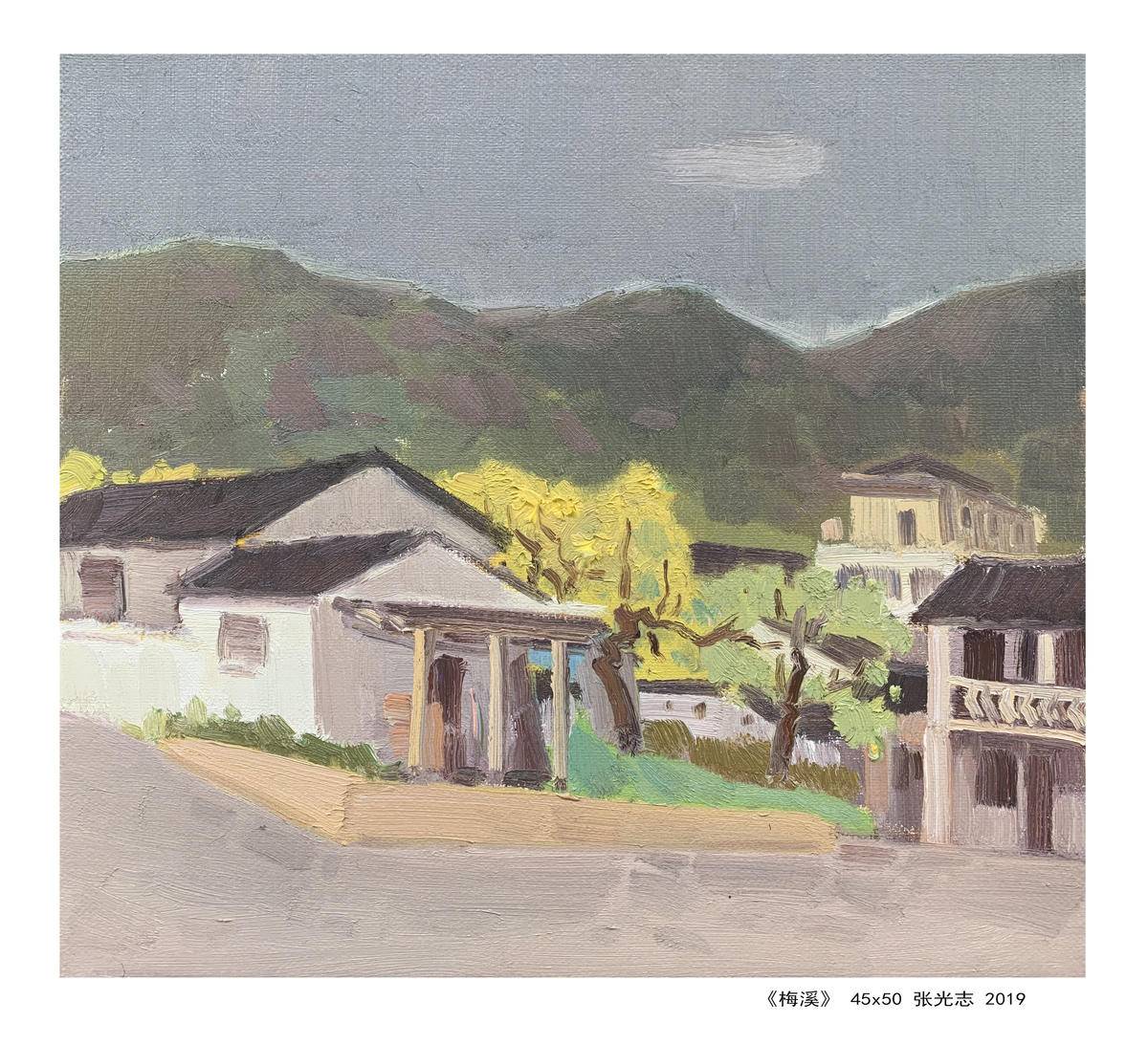 梅溪 - 张光志 作品图2