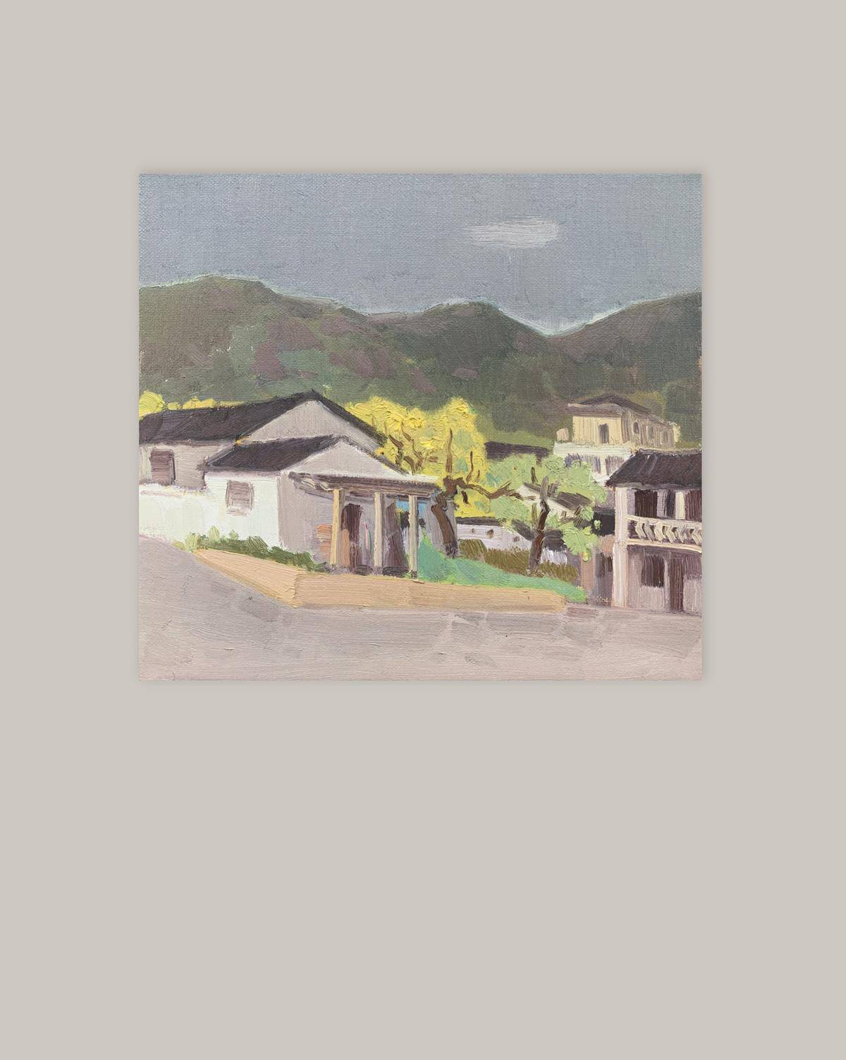 梅溪 - 张光志 作品图1