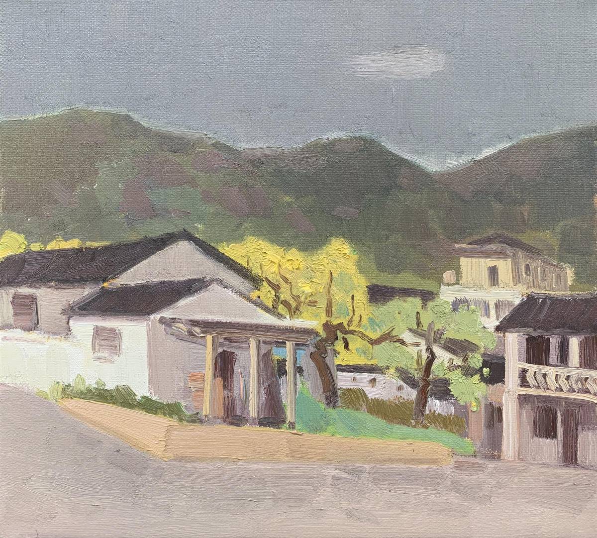 梅溪 - 张光志 作品图3