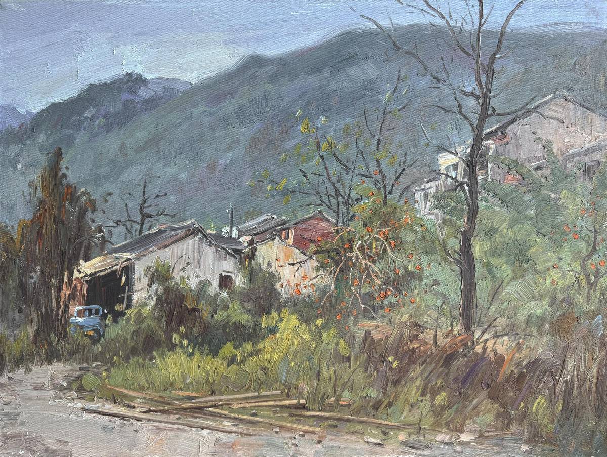 小山村 - 张光志 作品图2