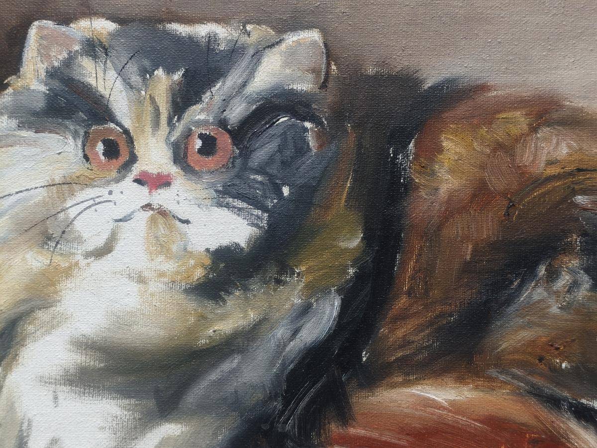 猫咪 - 姜鲲 作品图2