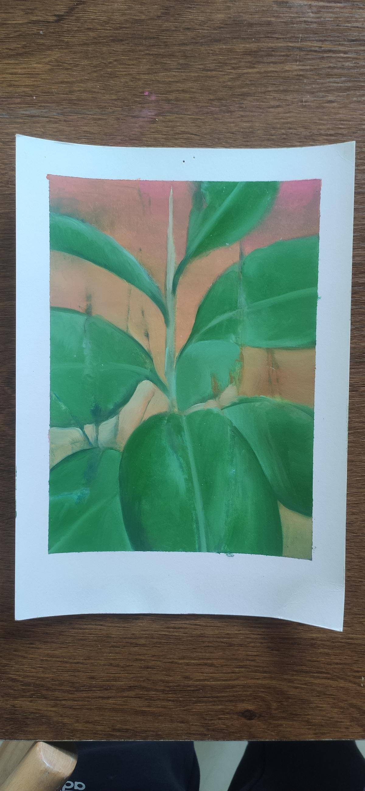 植物志 - 黄孙增 作品图2