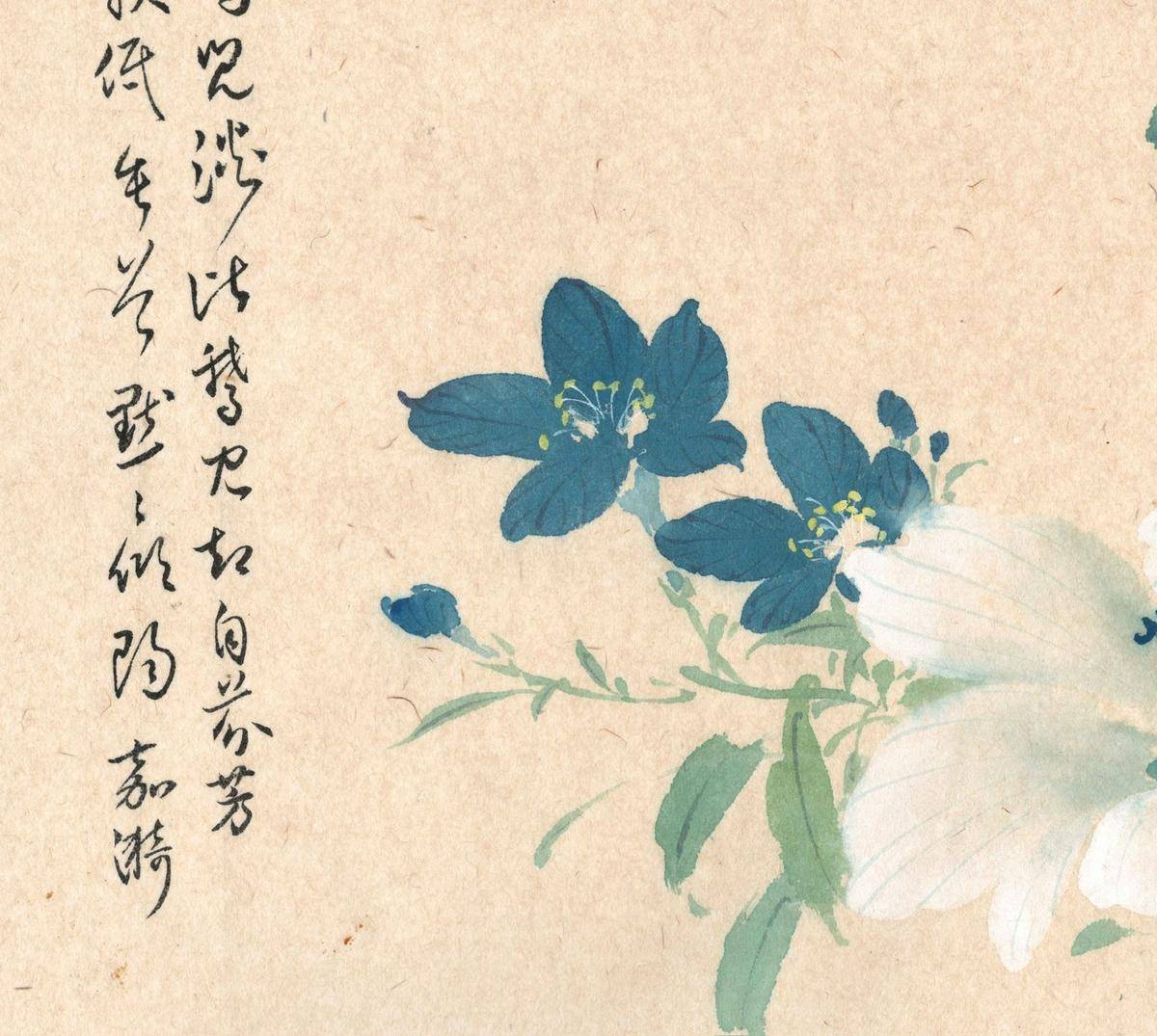 龙胆葵 - 鲁嘉漪 作品图2