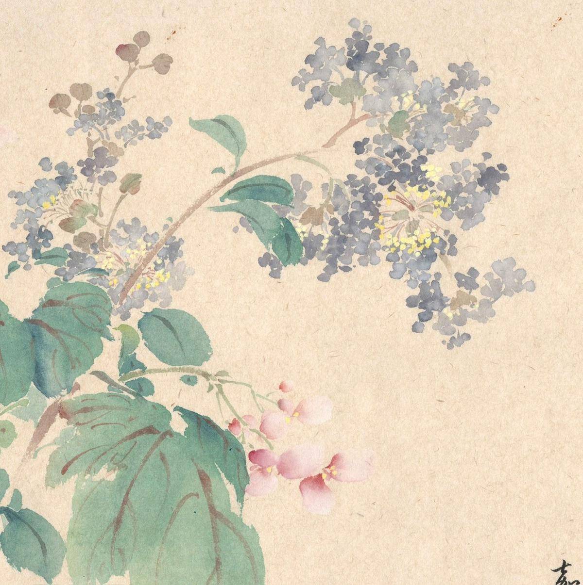 紫薇棠 - 鲁嘉漪 作品图2