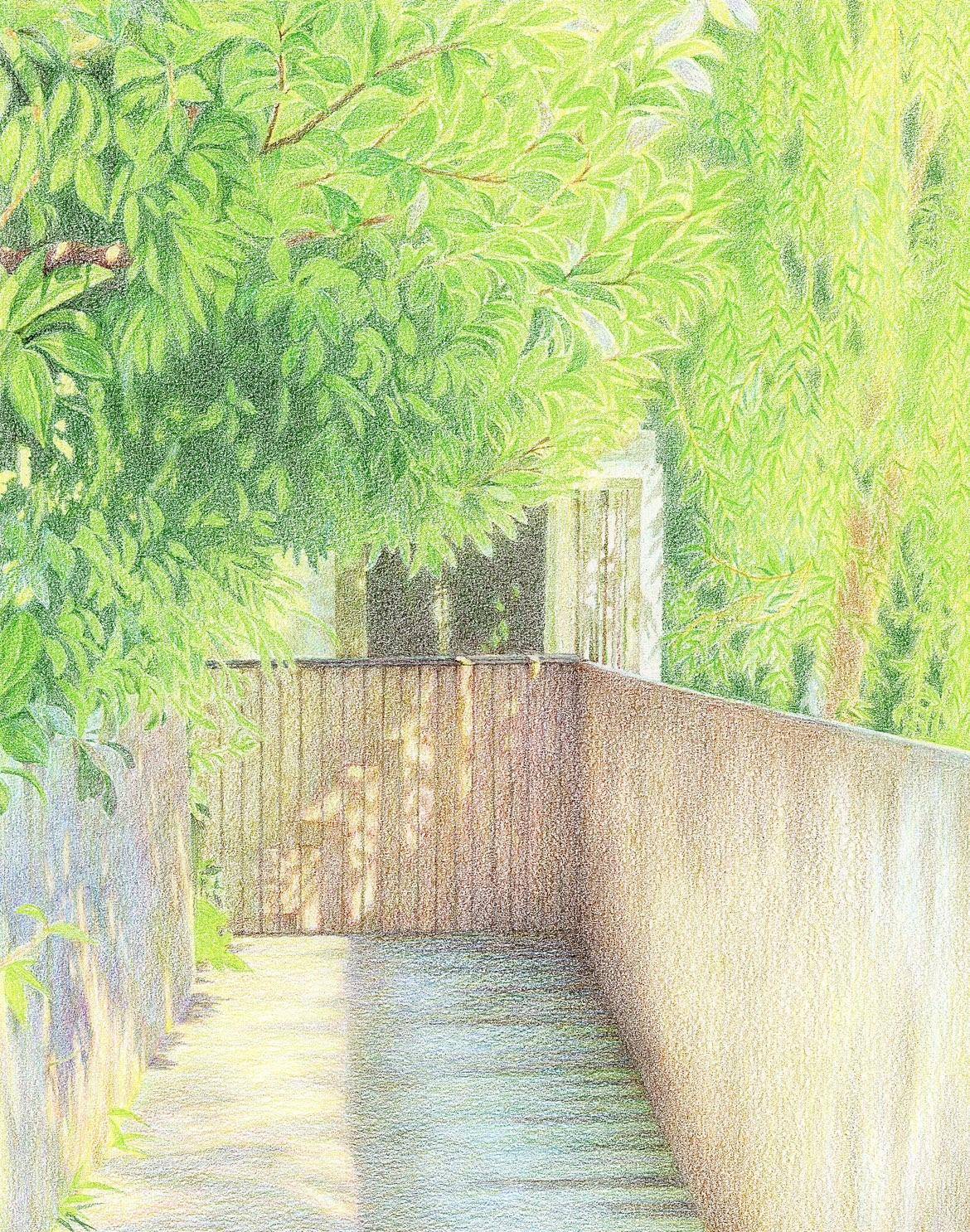 后院 - 张蓓莉 作品图1