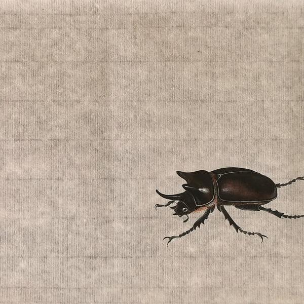 甲虫- 南谷的作品 | artand - 与艺术家面对面的在线画廊