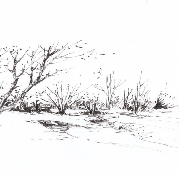 黄劲勇-流过树林的小溪