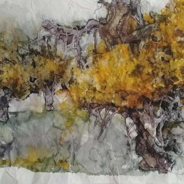 张春林-大漠胡杨