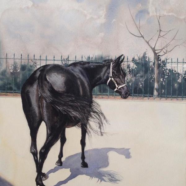 王洪云-黑马-咱去遛遛好吗?