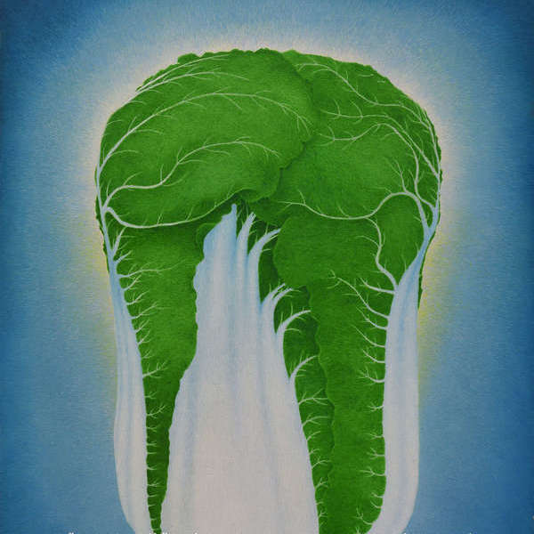 张勇-一颗大白菜