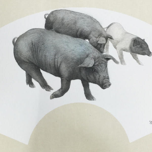 生肖猪2020年作品工笔藏獒2020年作品夏荷2020年作品鸳鸯2019年作品