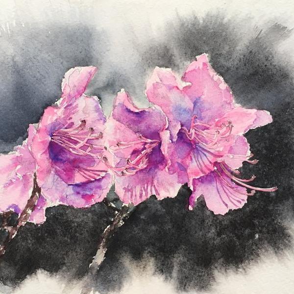 李家安-金达莱花