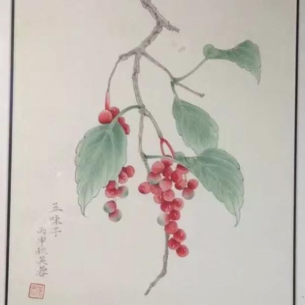 朱红霞-五味子