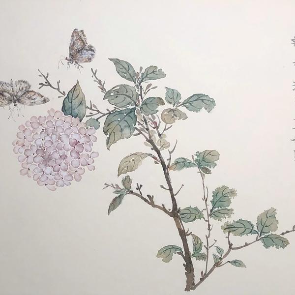 于慧-几枝琼萼露和圆