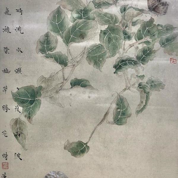于慧-绿荫幽草胜花时