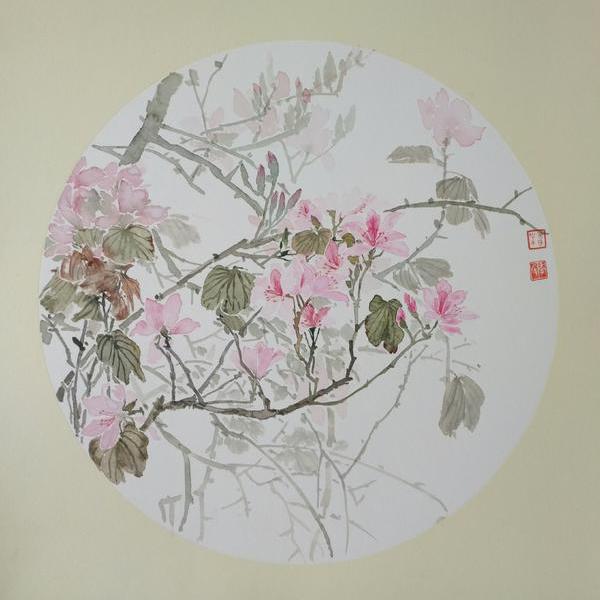 李善叶-紫荆花语