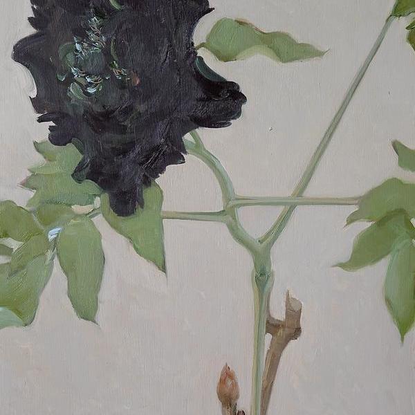 青蛇- 广也的作品 | artand - 与艺术家面对面的在线画廊