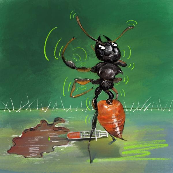 王向男-蚂蚁秀肌肉