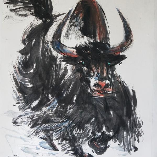 画牦牛的画家图片
