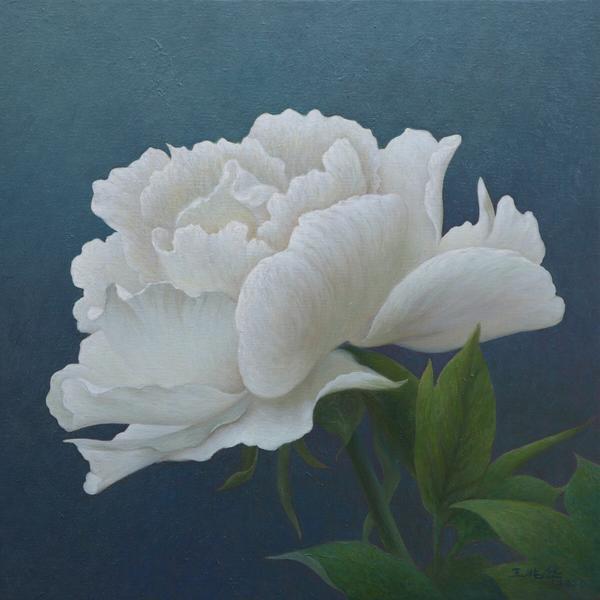 牡丹2020年作品白玉兰2021年作品初雪2014年作品榆叶梅2020年作品繁花