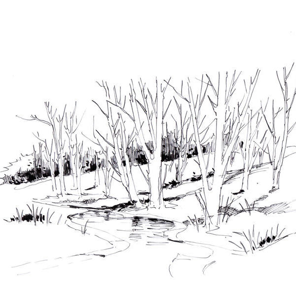 冬天的树林简笔画图片图片
