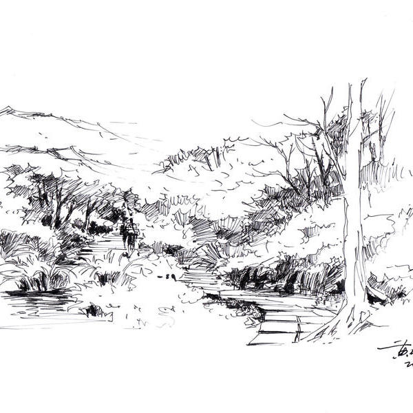 黄劲勇-山林中的溪边小径