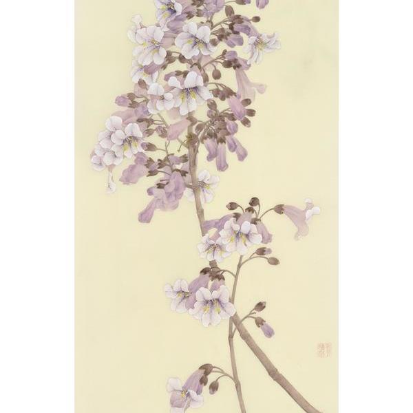 费婧苗-屏条:泡桐花