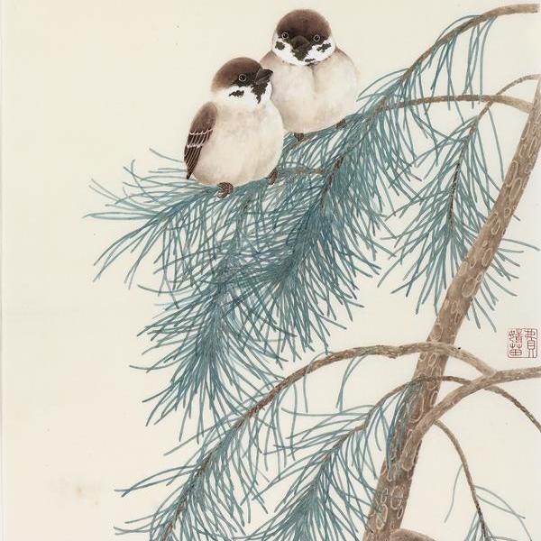 费婧苗-马尾松上的倆儿