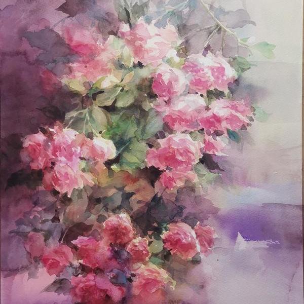 罗薇-路边的蔷薇花