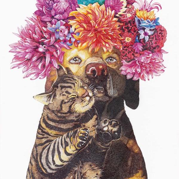 戴假睫毛的老虎tigerwithfalseeyelashes