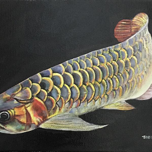 油画【金龙鱼】2021年作品油画【华山】2021年作品丙烯画【木瓜树】