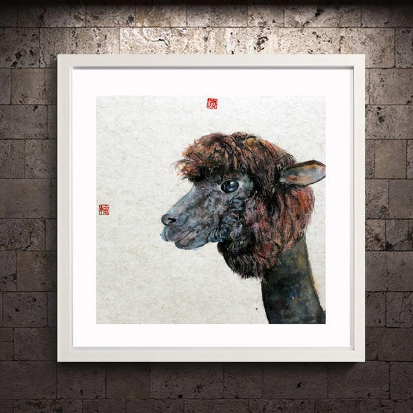 刘海轮-羊驼先生