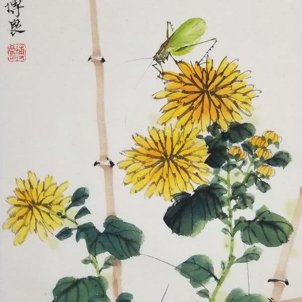 章浩-菊花纺织娘