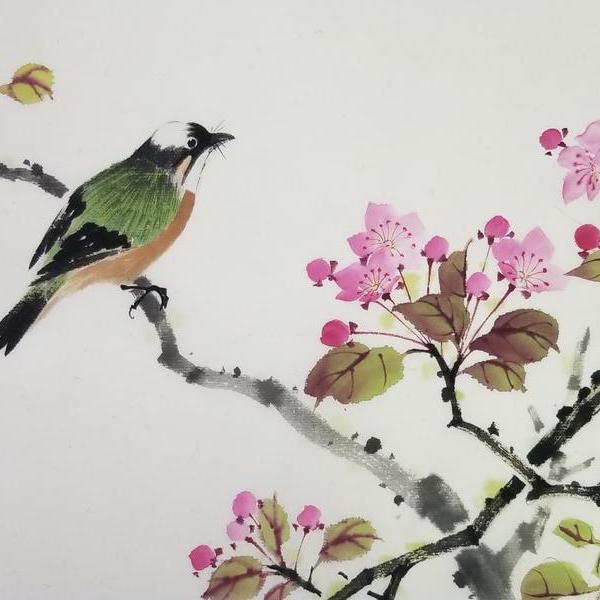 章浩-白头翁垂丝海棠