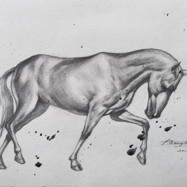 素描动物作品系列— 一马当先2018年作品素描动物作品系列—马到功成