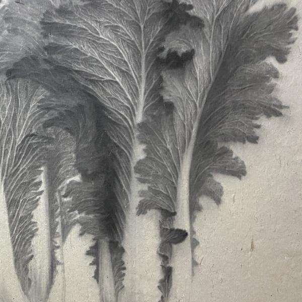 小黄瓜 - 袁熙任的作品 | artand - 与艺术家面对面的在线画廊