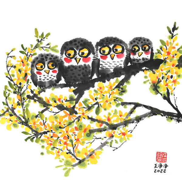 王净净-花开春暖