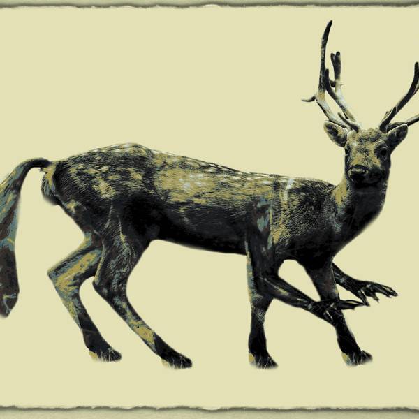 武文治-山海异兽-玃如