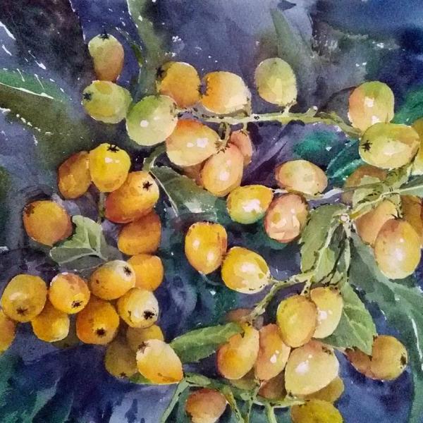 葛春晓-枇杷熟了