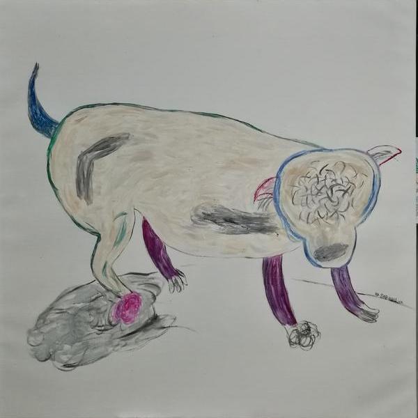 张刍狗-一只叫桂花的狗